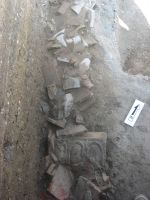 Cronica Cercetărilor Arheologice din România, Campania 2009. Raportul nr. 33.<br /> Sectorul 03-poze-sectorT.