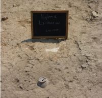 Cronica Cercetărilor Arheologice din România, Campania 2009. Raportul nr. 33.<br /> Sectorul 04-poze-sectorX.