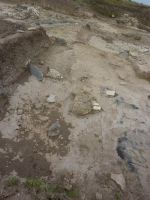 Cronica Cercetărilor Arheologice din România, Campania 2009. Raportul nr. 33.<br /> Sectorul 04-poze-sectorX.