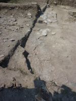 Cronica Cercetărilor Arheologice din România, Campania 2009. Raportul nr. 33.<br /> Sectorul 04-poze-sectorX.
