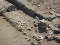 Cronica Cercetărilor Arheologice din România, Campania 2009. Raportul nr. 33.<br /> Sectorul 04-poze-sectorX.