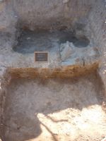 Cronica Cercetărilor Arheologice din România, Campania 2009. Raportul nr. 33.<br /> Sectorul 04-poze-sectorX.