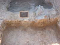 Cronica Cercetărilor Arheologice din România, Campania 2009. Raportul nr. 33.<br /> Sectorul 04-poze-sectorX.