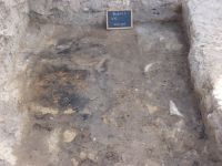 Cronica Cercetărilor Arheologice din România, Campania 2009. Raportul nr. 33.<br /> Sectorul 04-poze-sectorX.