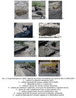 Cronica Cercetărilor Arheologice din România, Campania 2009. Raportul nr. 36