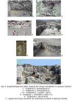 Cronica Cercetărilor Arheologice din România, Campania 2009. Raportul nr. 36