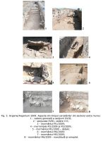 Cronica Cercetărilor Arheologice din România, Campania 2009. Raportul nr. 36