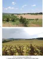 Cronica Cercetărilor Arheologice din România, Campania 2009. Raportul nr. 39