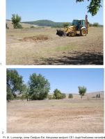 Cronica Cercetărilor Arheologice din România, Campania 2009. Raportul nr. 39