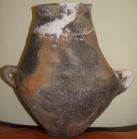 Cronica Cercetărilor Arheologice din România, Campania 2009. Raportul nr. 45