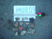 Cronica Cercetărilor Arheologice din România, Campania 2009. Raportul nr. 46