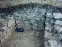 Cronica Cercetărilor Arheologice din România, Campania 2009. Raportul nr. 46