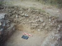 Cronica Cercetărilor Arheologice din România, Campania 2009. Raportul nr. 46