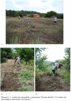 Cronica Cercetărilor Arheologice din România, Campania 2009. Raportul nr. 47