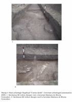 Cronica Cercetărilor Arheologice din România, Campania 2009. Raportul nr. 47