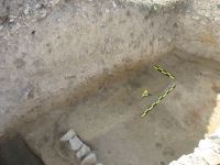 Cronica Cercetărilor Arheologice din România, Campania 2009. Raportul nr. 51
