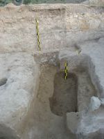 Cronica Cercetărilor Arheologice din România, Campania 2009. Raportul nr. 51