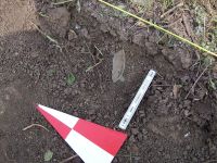 Cronica Cercetărilor Arheologice din România, Campania 2009. Raportul nr. 52