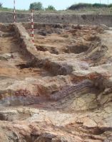 Cronica Cercetărilor Arheologice din România, Campania 2009. Raportul nr. 58