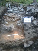 Cronica Cercetărilor Arheologice din România, Campania 2009. Raportul nr. 59