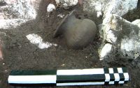 Cronica Cercetărilor Arheologice din România, Campania 2009. Raportul nr. 59