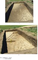Cronica Cercetărilor Arheologice din România, Campania 2009. Raportul nr. 63
