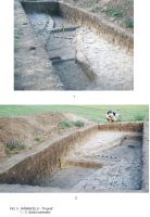 Cronica Cercetărilor Arheologice din România, Campania 2009. Raportul nr. 63