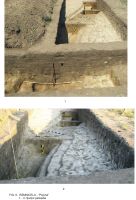 Cronica Cercetărilor Arheologice din România, Campania 2009. Raportul nr. 63