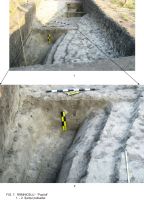 Cronica Cercetărilor Arheologice din România, Campania 2009. Raportul nr. 63