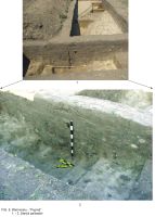 Cronica Cercetărilor Arheologice din România, Campania 2009. Raportul nr. 63