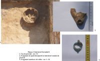 Cronica Cercetărilor Arheologice din România, Campania 2009. Raportul nr. 71