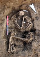Cronica Cercetărilor Arheologice din România, Campania 2009. Raportul nr. 72