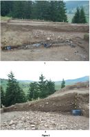 Cronica Cercetărilor Arheologice din România, Campania 2009. Raportul nr. 77