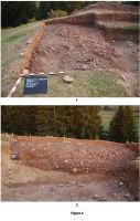 Cronica Cercetărilor Arheologice din România, Campania 2009. Raportul nr. 77