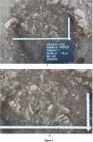 Cronica Cercetărilor Arheologice din România, Campania 2009. Raportul nr. 77