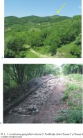Cronica Cercetărilor Arheologice din România, Campania 2009. Raportul nr. 79