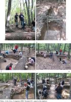 Cronica Cercetărilor Arheologice din România, Campania 2009. Raportul nr. 82
