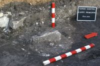 Cronica Cercetărilor Arheologice din România, Campania 2009. Raportul nr. 83