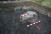 Cronica Cercetărilor Arheologice din România, Campania 2009. Raportul nr. 83