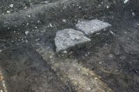 Cronica Cercetărilor Arheologice din România, Campania 2009. Raportul nr. 83