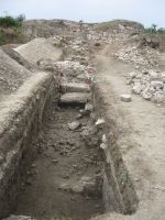 Cronica Cercetărilor Arheologice din România, Campania 2009. Raportul nr. 84