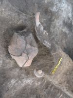 Cronica Cercetărilor Arheologice din România, Campania 2009. Raportul nr. 90