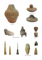 Cronica Cercetărilor Arheologice din România, Campania 2009. Raportul nr. 90