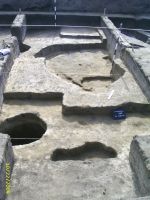 Cronica Cercetărilor Arheologice din România, Campania 2009. Raportul nr. 91