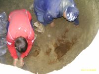 Cronica Cercetărilor Arheologice din România, Campania 2009. Raportul nr. 91