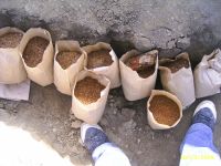 Cronica Cercetărilor Arheologice din România, Campania 2009. Raportul nr. 91