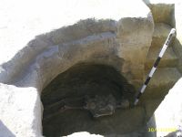 Cronica Cercetărilor Arheologice din România, Campania 2009. Raportul nr. 91