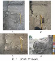 Cronica Cercetărilor Arheologice din România, Campania 2010. Raportul nr. 1.<br /> Sectorul Sector-A-a.