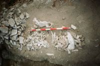 Cronica Cercetărilor Arheologice din România, Campania 2010. Raportul nr. 1.<br /> Sectorul SectorB-a.