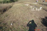 Cronica Cercetărilor Arheologice din România, Campania 2010. Raportul nr. 1.<br /> Sectorul SectorC-c2-a.